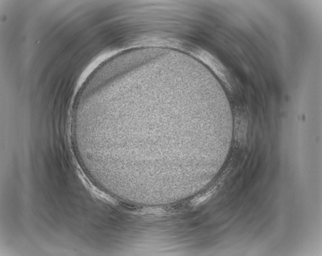 X0000085781094200704131823