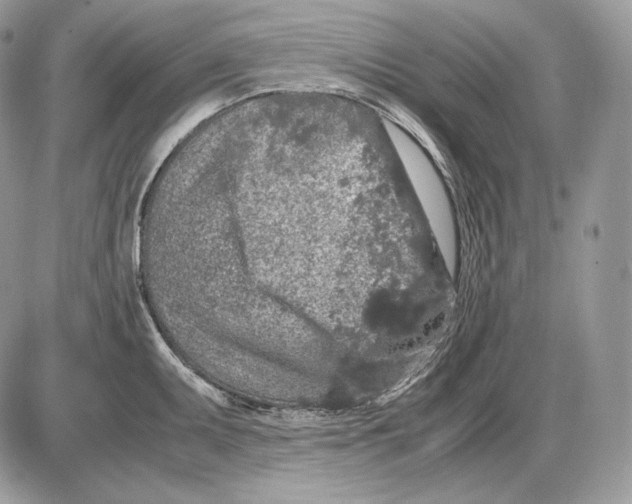 X0000085781095200704131823