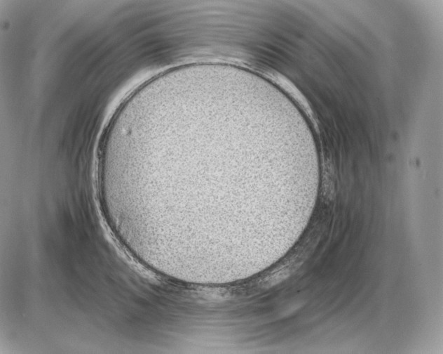 X0000085781096200704131823