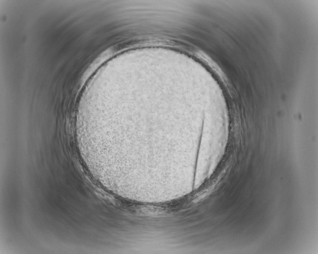 X0000085781097200704131823