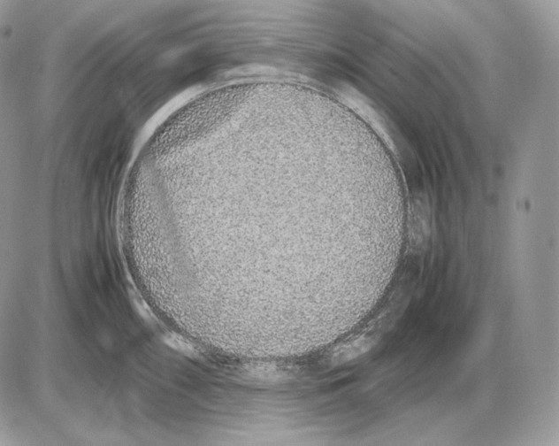 X0000085781098200704131822