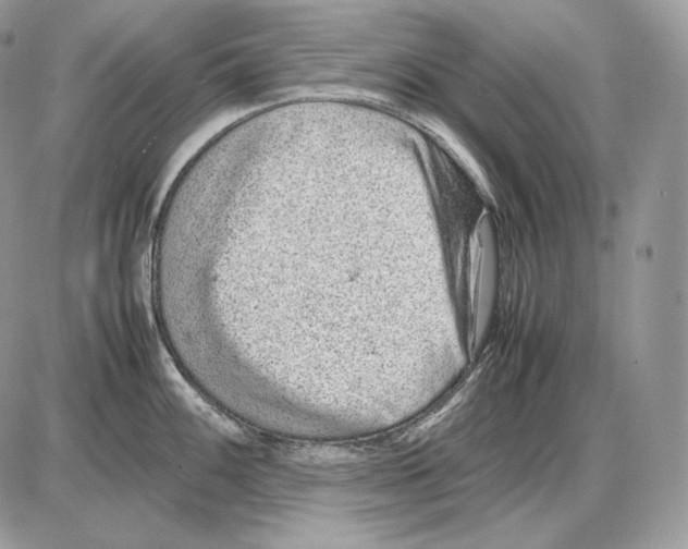 X0000085781100200704131822