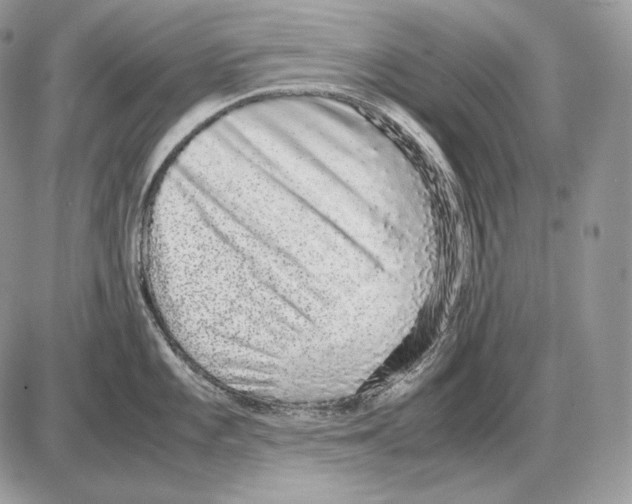 X0000085781101200704131822