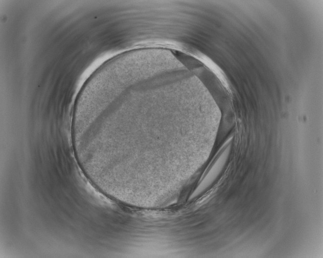 X0000085781102200704131822