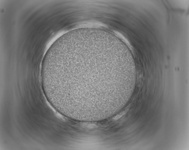 X0000085781103200704131822