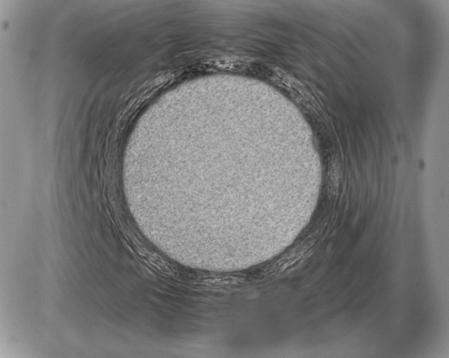 X0000085781105200704131822