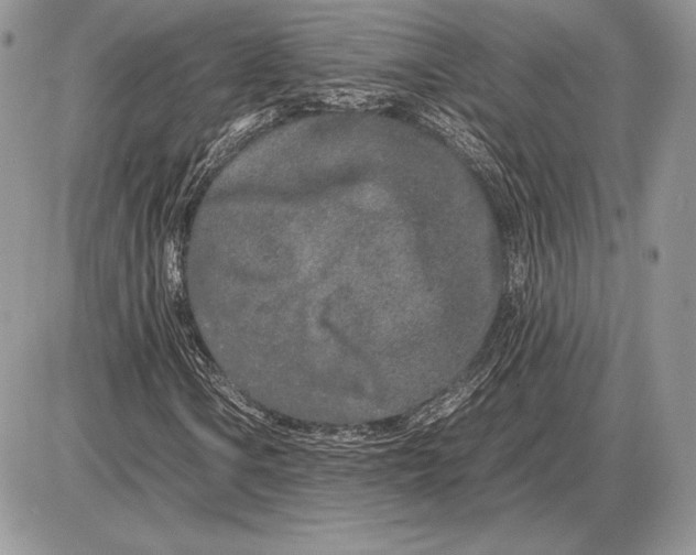 X0000085781106200704131822