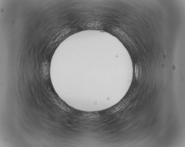 X0000085781107200704131822