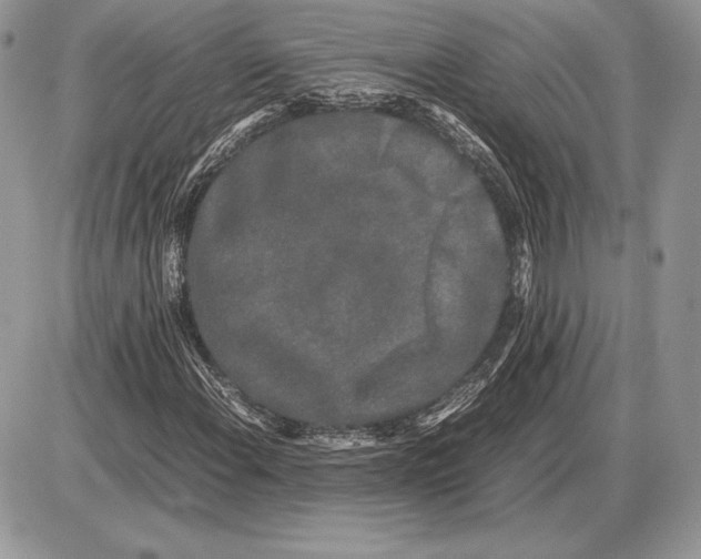 X0000085781108200704131822