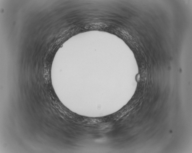 X0000085781109200704131822