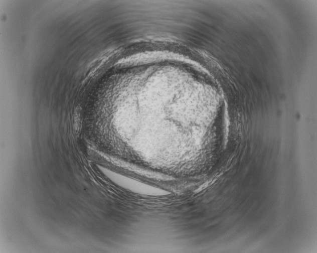 X0000085781110200704131822