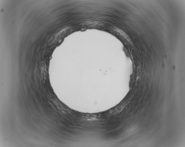 X0000085781111200704131822