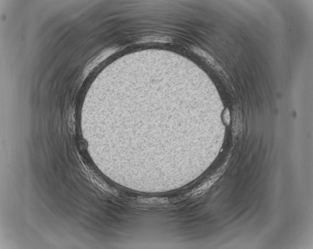 X0000085781113200704131822