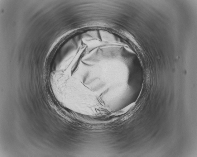 X0000085781116200704131822