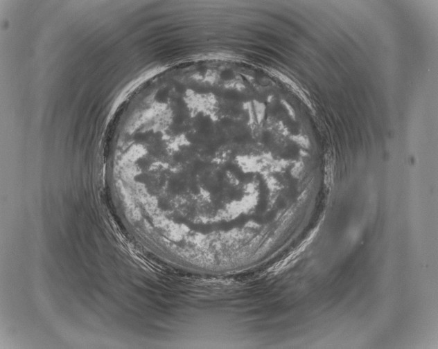 X0000085781117200704131822