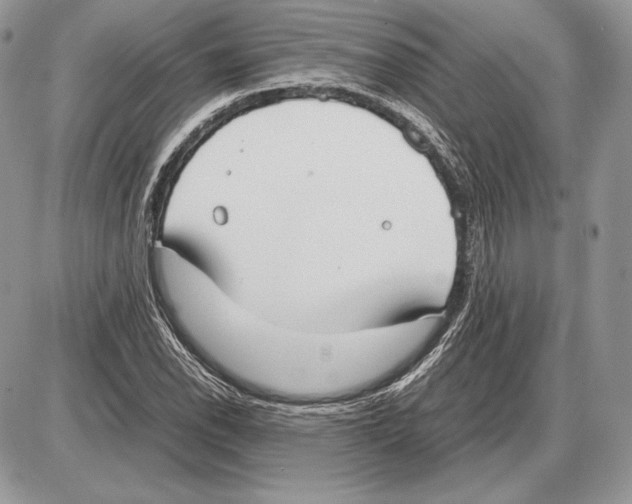 X0000085781118200704131822