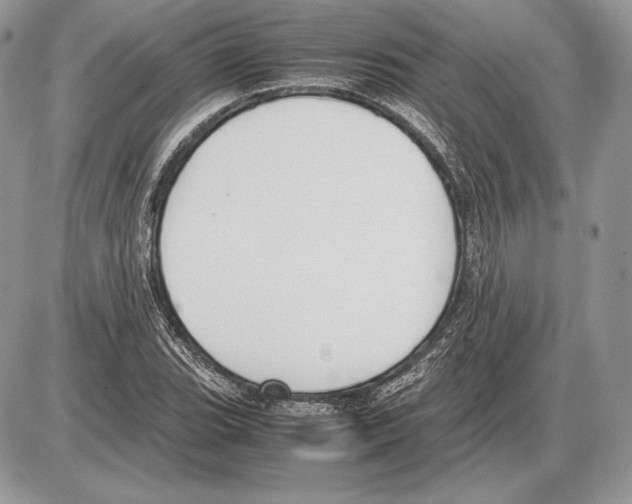 X0000085781119200704131822