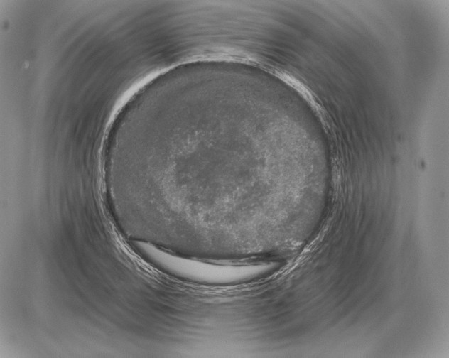 X0000085781120200704131822