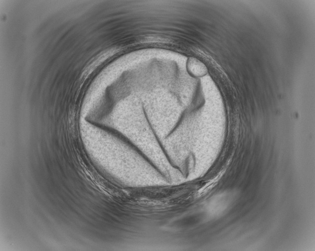 X0000085781121200704131822