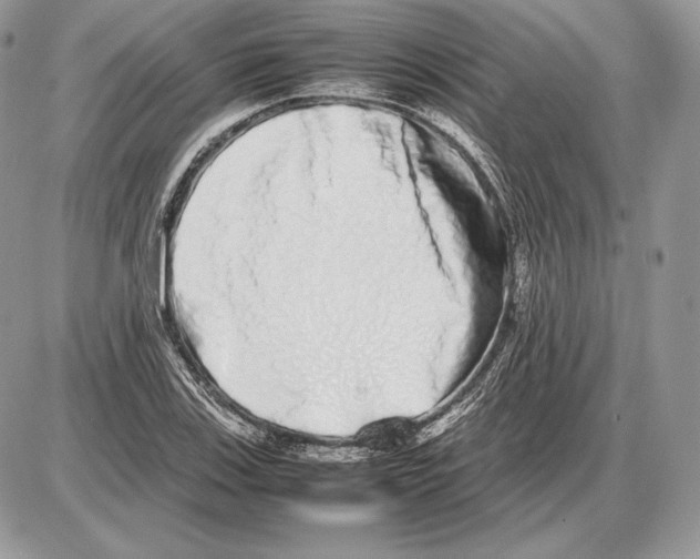 X0000085781123200704131822