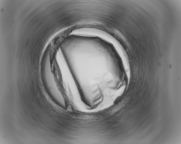 X0000085781124200704131822