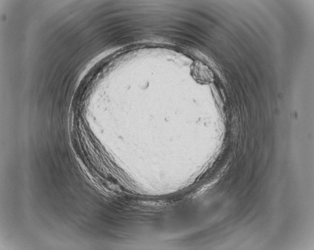 X0000085781125200704131822