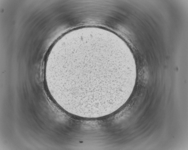 X0000085781126200704131822