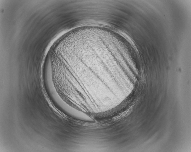 X0000085781128200704131822