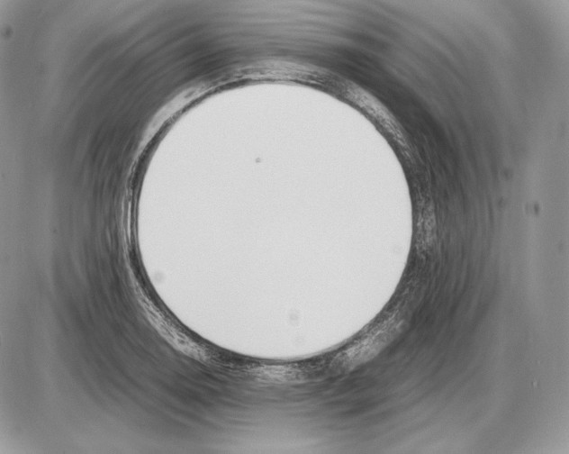 X0000085781130200704131822