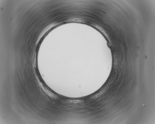 X0000085781131200704131822