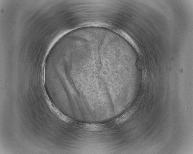 X0000085781132200704131822