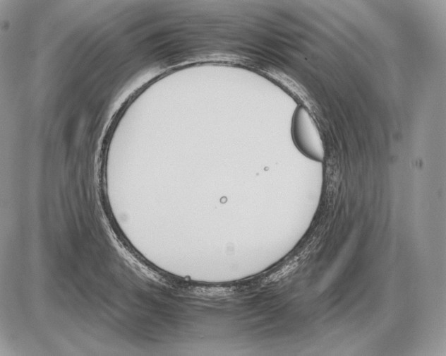 X0000085781135200704131822