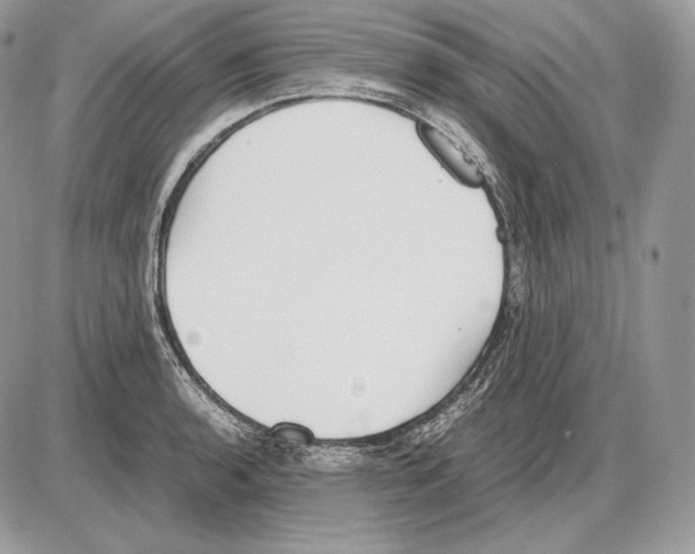 X0000085781136200704131822