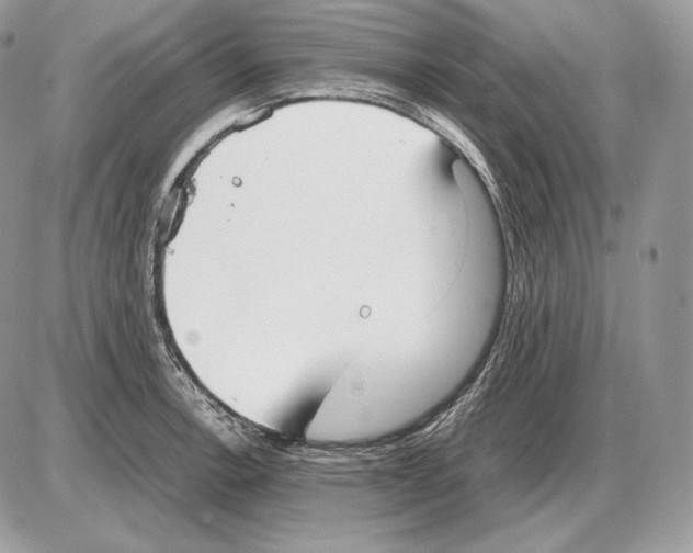 X0000085781138200704131822