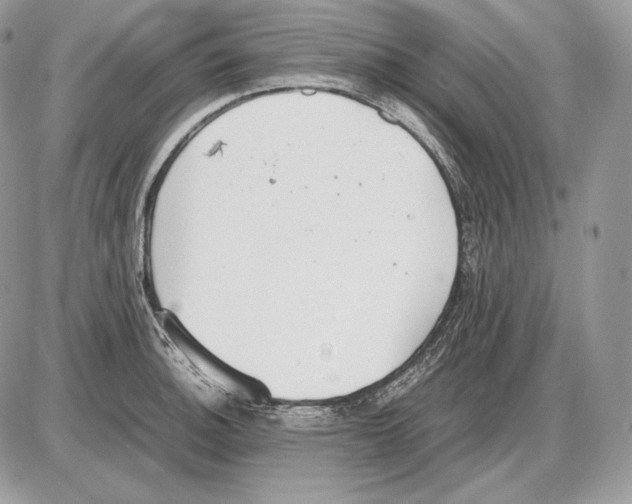 X0000085781140200704131822