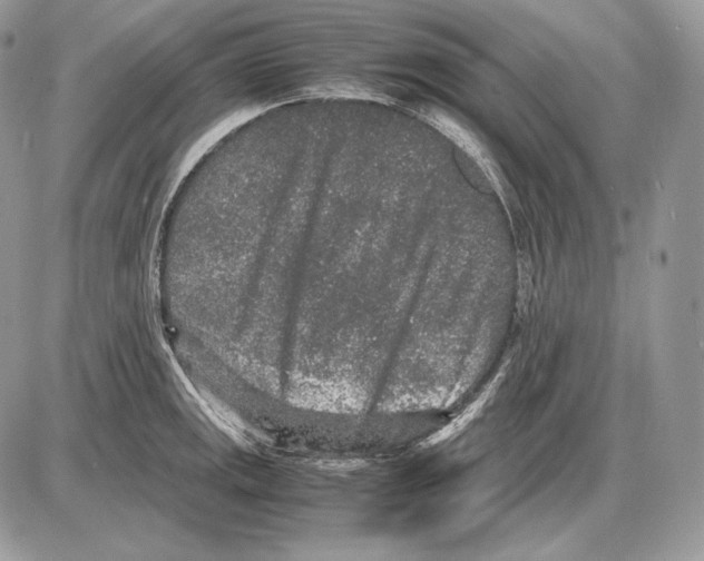 X0000085781141200704131822