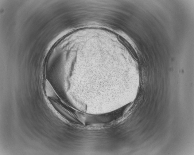 X0000085781142200704131822