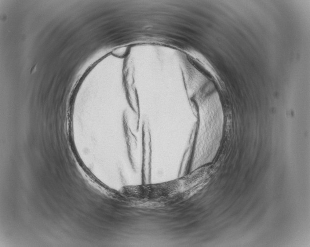 X0000085781143200704131822