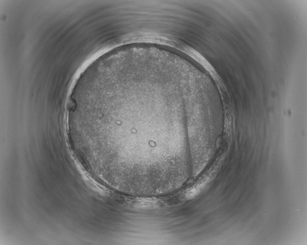 X0000085781144200704131822