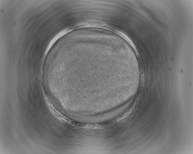 X0000085781146200704131822