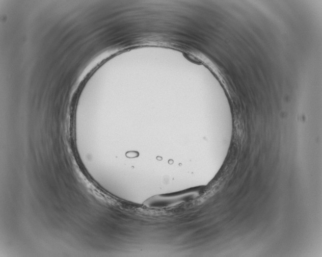 X0000085781147200704131822