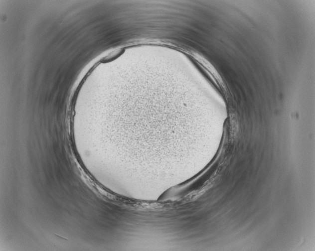 X0000085781148200704131822