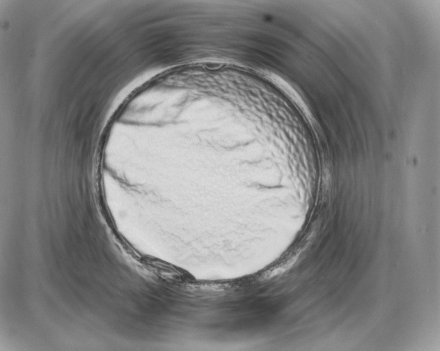 X0000085781149200704131822