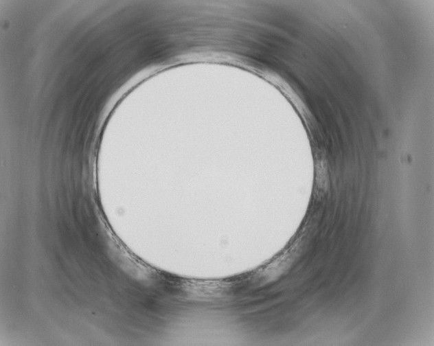 X0000085781150200704131822