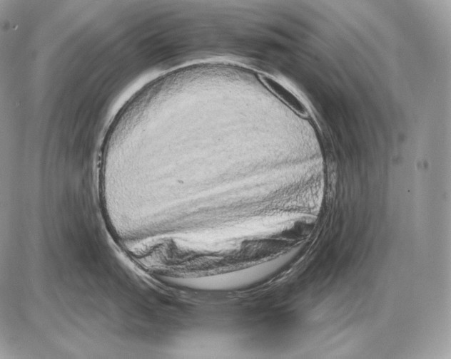 X0000085781151200704131822