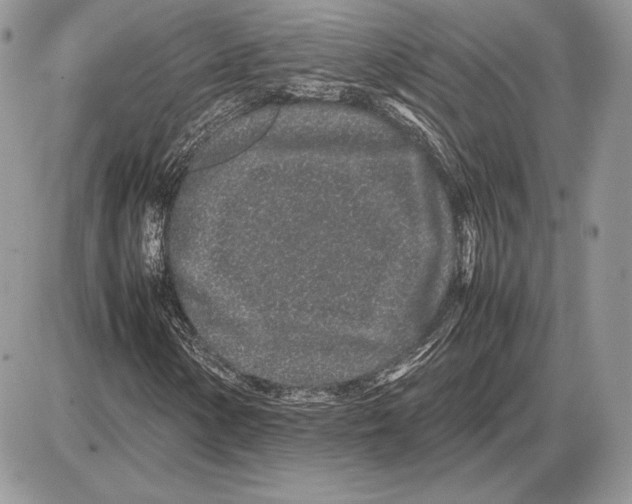 X0000085781154200704131822