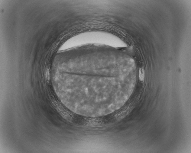 X0000085781155200704131822