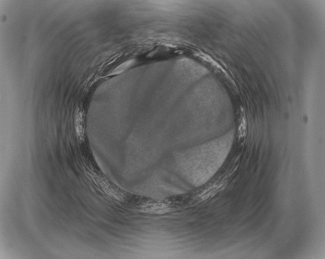 X0000085781156200704131822