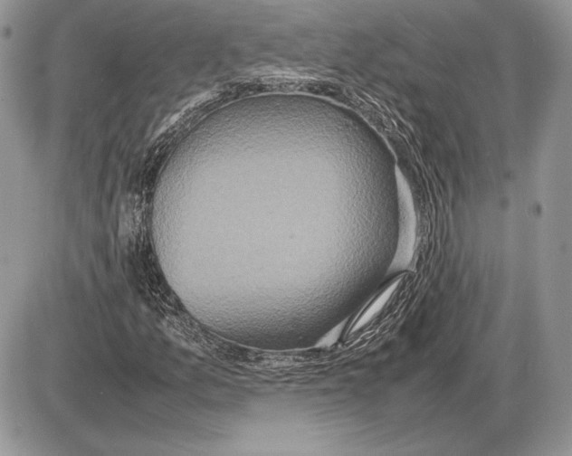 X0000085781157200704131821