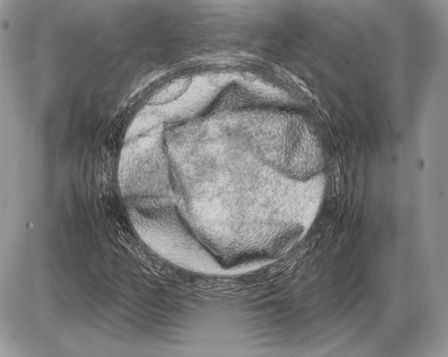 X0000085781158200704131821